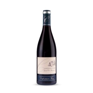 Desfontaine Frères , Santenay 1er Cru «Grand Clos Rousseau» (100% Pinot Noir, DOC Santenay 1er Cru) | VivaoVinho.Shop
